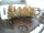 Webcam in Oberstdorf, 0.6 km entfernt