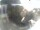 Webcam in Oberstdorf, 0.6 km entfernt