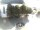 Webcam in Oberstdorf, 0.2 mi away
