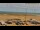 Webcam in Benicàssim, 44.4 km entfernt