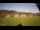 Webcam in Hinterzarten, 7.9 km entfernt