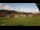 Webcam in Hinterzarten, 7.9 km