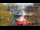 Webcam in Warnemünde, 13.5 km