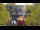 Webcam in Warnemünde, 0.3 km entfernt