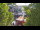 Webcam in Warnemünde, 0.4 km entfernt