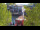 Webcam in Warnemünde, 0.2 mi away