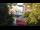 Webcam in Warnemünde, 10.3 km entfernt