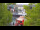 Webcam in Warnemünde, 11.8 mi away