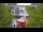 Webcam in Warnemünde, 1.4 km