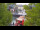 Webcam in Warnemünde, 0.7 km