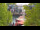 Webcam in Warnemünde, 9.2 km