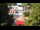 Webcam in Warnemünde, 0.5 km