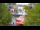 Webcam in Warnemünde, 0.4 km