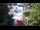 Webcam in Warnemünde, 8.6 mi away