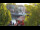Webcam in Warnemünde, 0.7 km