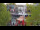 Webcam in Warnemünde, 0.1 km