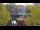 Webcam in Warnemünde, 5.2 km