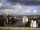 Webcam in Norden (Nordstrand), 1.6 mi away