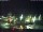 Webcam in Norden (Nordstrand), 5 mi away