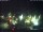 Webcam in Norden, 0.1 km