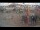 Webcam in Marchtrenk, 13.6 km entfernt