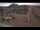 Webcam in Marchtrenk, 3.7 mi away