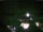 Webcam in Ybbsitz, 4.5 mi away
