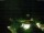 Webcam in Ybbsitz, 4.5 mi away