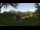 Webcam in Kato Vlasia, 31.9 mi away