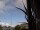 Webcam in Wairoa, 3993.7 km