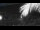 Webcam in Bonny Hills, 77.2 mi away