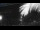 Webcam in Bonny Hills, 505 km entfernt
