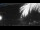 Webcam in Bonny Hills, 192.9 mi away