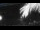 Webcam in Bonny Hills, 216.9 mi away