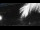 Webcam in Bonny Hills, 156.6 mi away