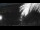 Webcam in Bonny Hills, 179.8 mi away