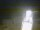 Webcam in Certaldo, 11.4 mi away
