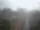 Webcam in Certaldo, 30.1 km