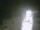 Webcam in Certaldo, 20.7 mi away