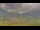Webcam in Bormion, 0.8 km