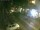 Webcam in Livigno, 0.1 mi away