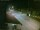 Webcam in Livigno, 0.2 mi away