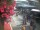 Webcam in Livigno, 0.2 km