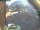 Webcam in Livigno, 0.2 mi away