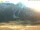 Webcam in Ofenpass, 14 km