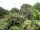 Webcam in Audley, 123.5 km