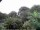Webcam in Audley, 30.1 mi away