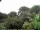 Webcam in Audley, 63.4 km
