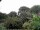 Webcam in Audley, 7.6 mi away
