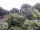 Webcam in Audley, 27.3 mi away